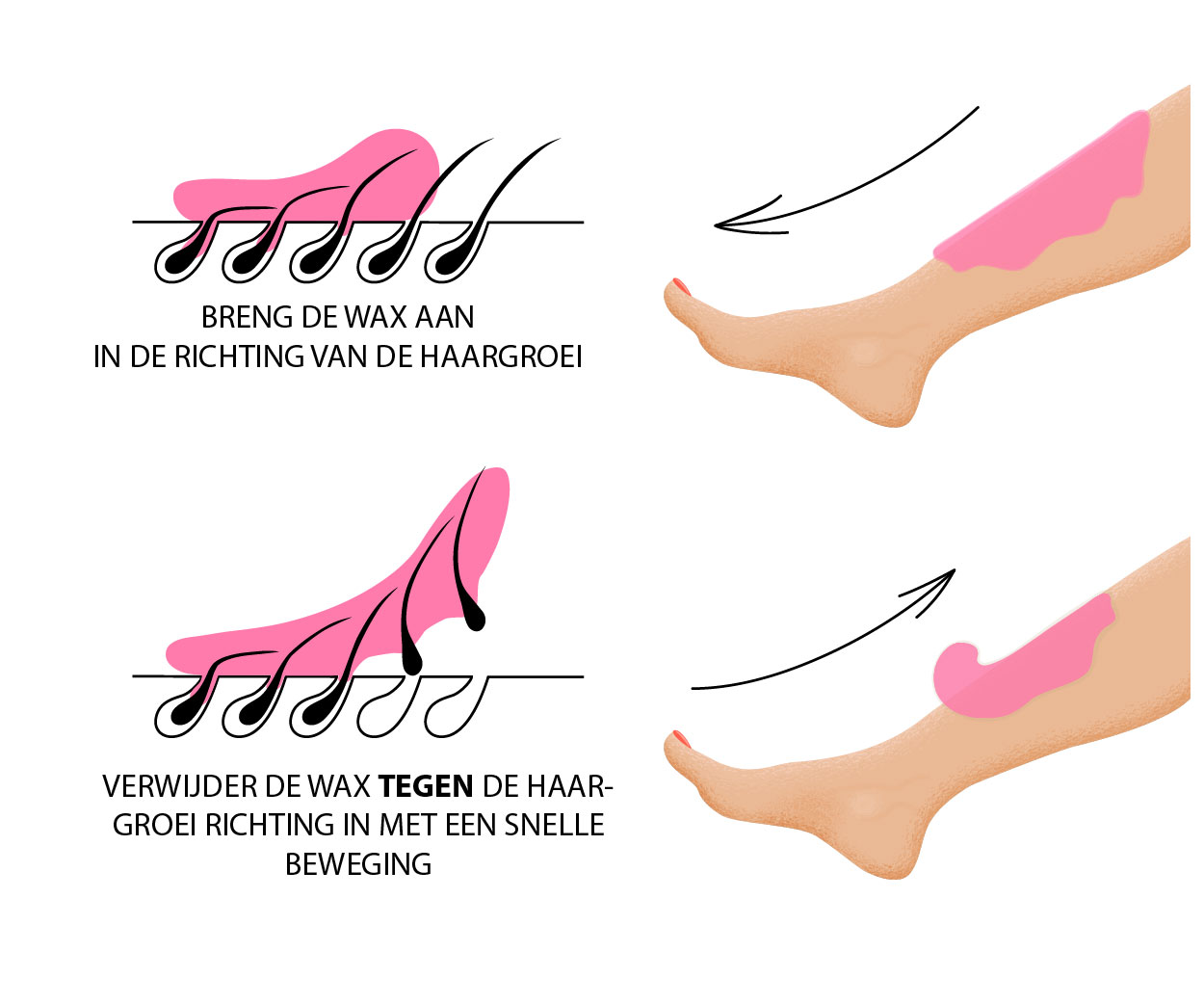 bron Kaarsen taal Waxen | Alles wat je moet weten om zelf thuis te Harsen | Tips & Trucs